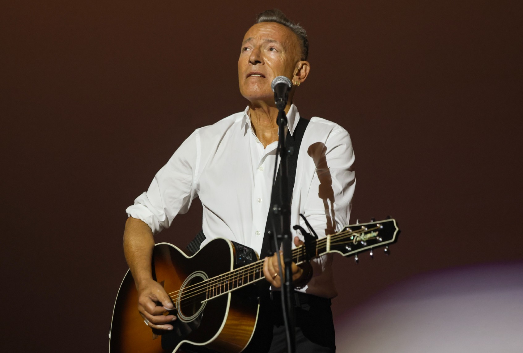 Bruce Springsteen ( Rodin Eckenroth/Getty Images for AFI)