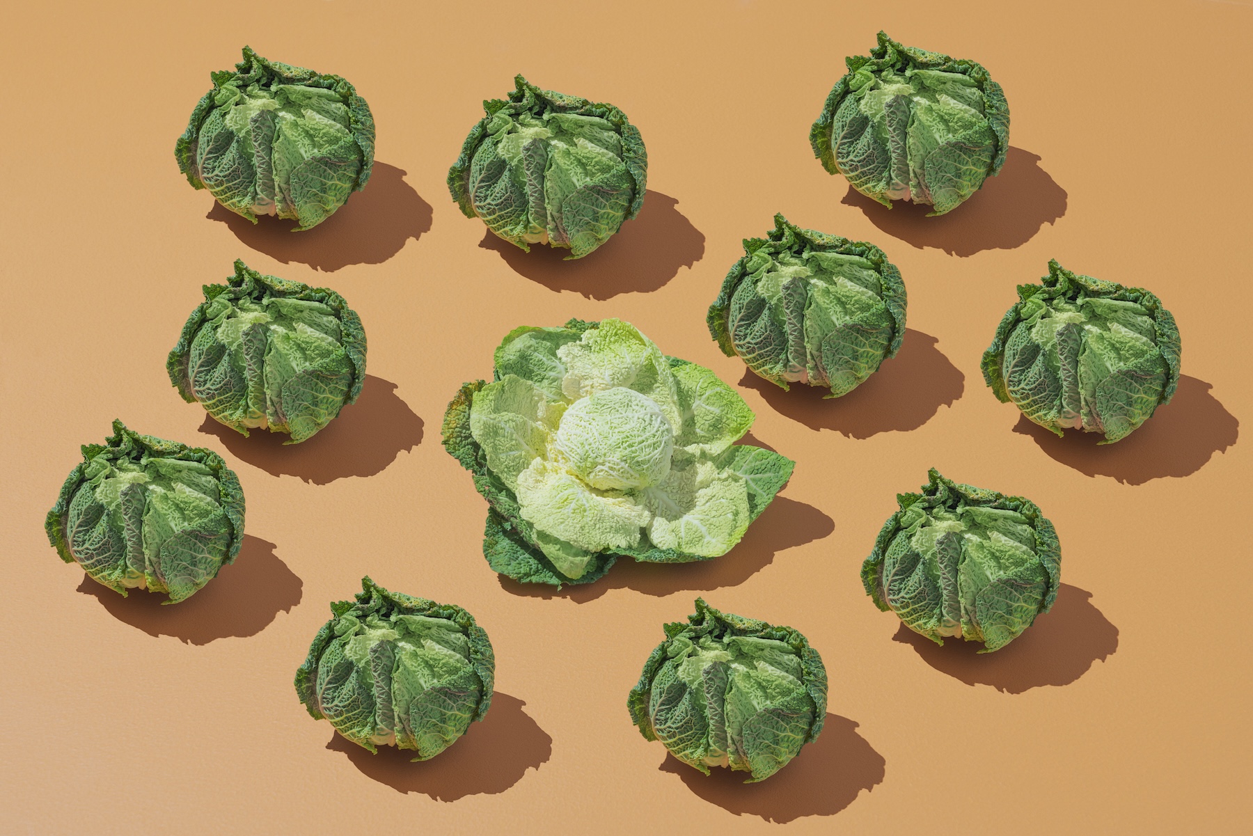 A group of cabbage laid in a pattern on a colorful background. (Daniel Grizelj / Getty Images )