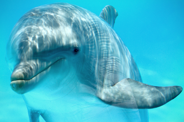 (<a href=gallery-135940p1.html Studio</a> via <a href=a.html title=