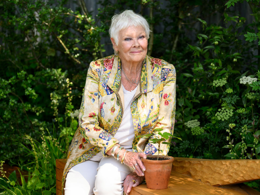 90-year-old English legend Dame Judi Dench shared that her eyesight is almost completely gone due to age-related macular degeneration (AMD). (Karwai Tang / Getty Images)