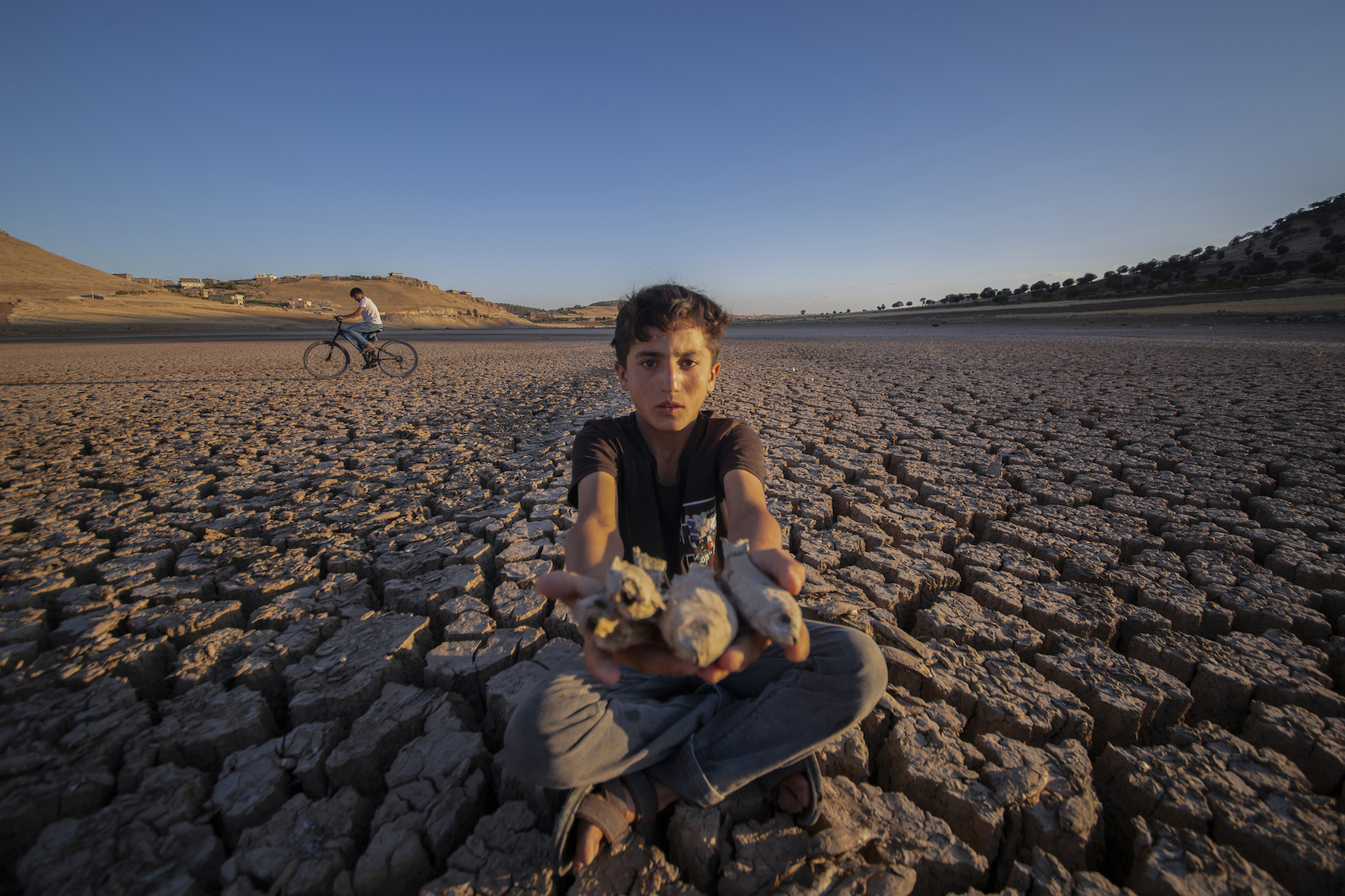 A view of dead fish on dried up pond due to prolonged drought in Mardin, Turkiye. (Photo by Mustafa Kilic/Anadolu via Getty Images)