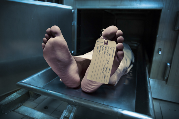 (<a href=index-1678.html Gregory</a> via <a href=index-517.html title=